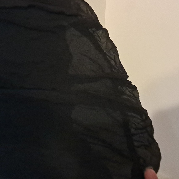 Worthington Women Pleated Silk Skirt Size 16 Fairiegoth Sheer Fairy Preowned - Picture 2 of 8